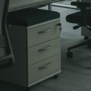 Lockable Mobile Drawer Unit