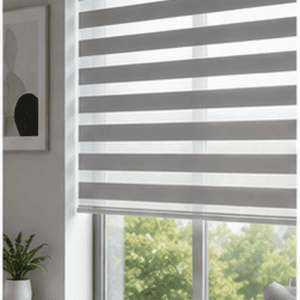 Modern Zebra Blinds