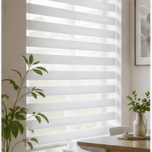 Blackout Zebra Blinds